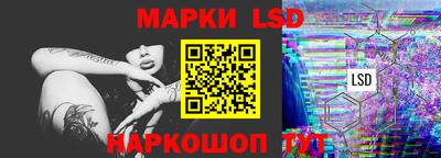 спиды Кингисепп