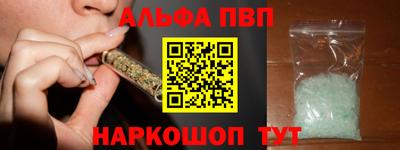спиды Кингисепп