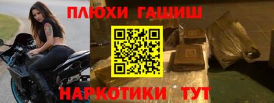 спиды Кингисепп