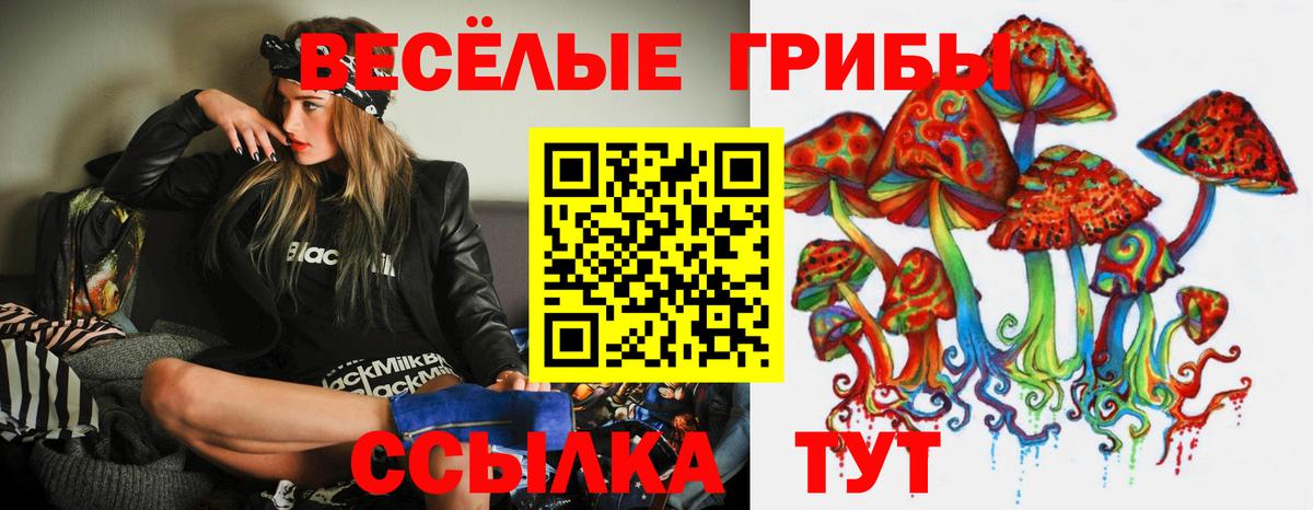 Галлюциногенные грибы Magic Shrooms  Вход с VPN  как найти наркотики  Каменка 