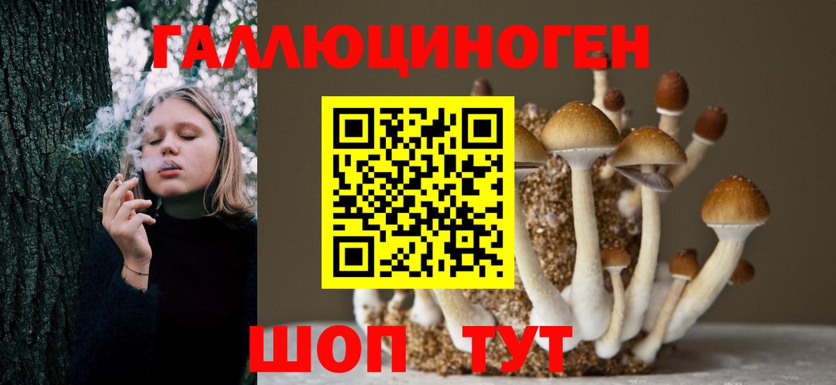 Галлюциногенные грибы мухоморы Каменка